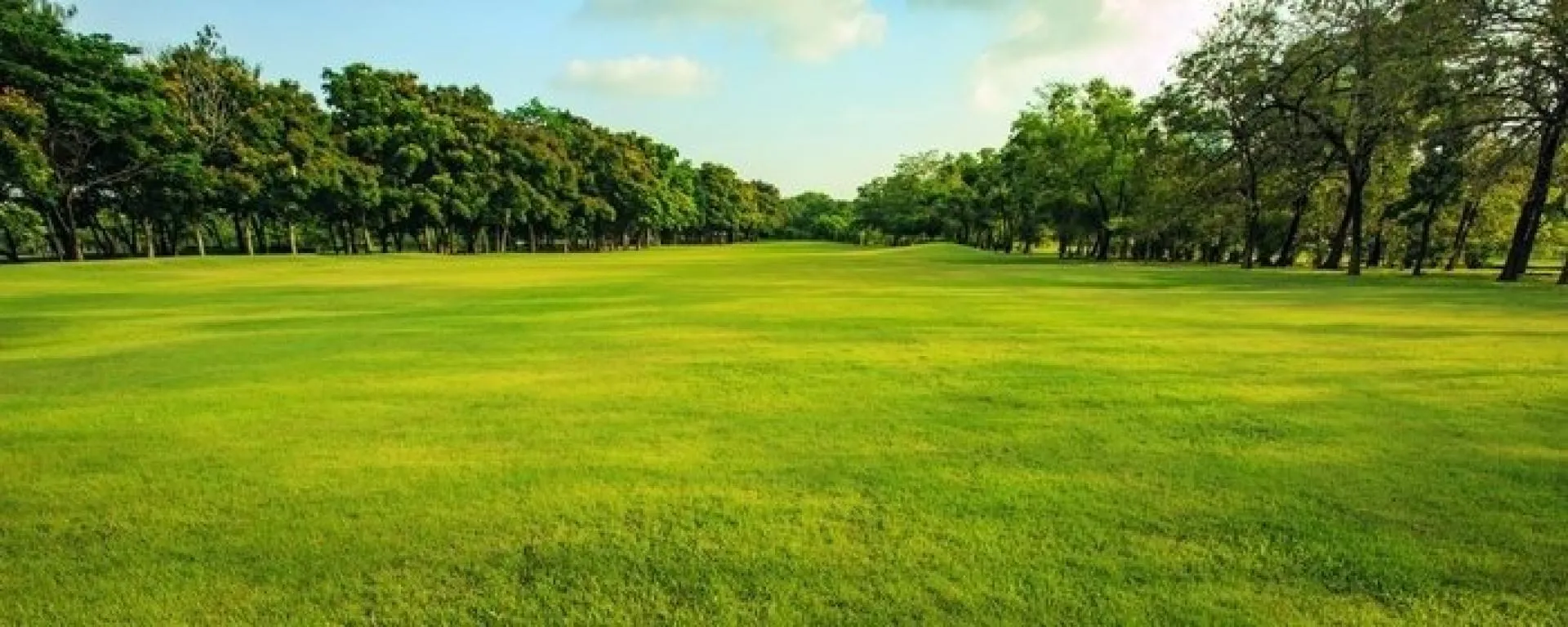 Terrain