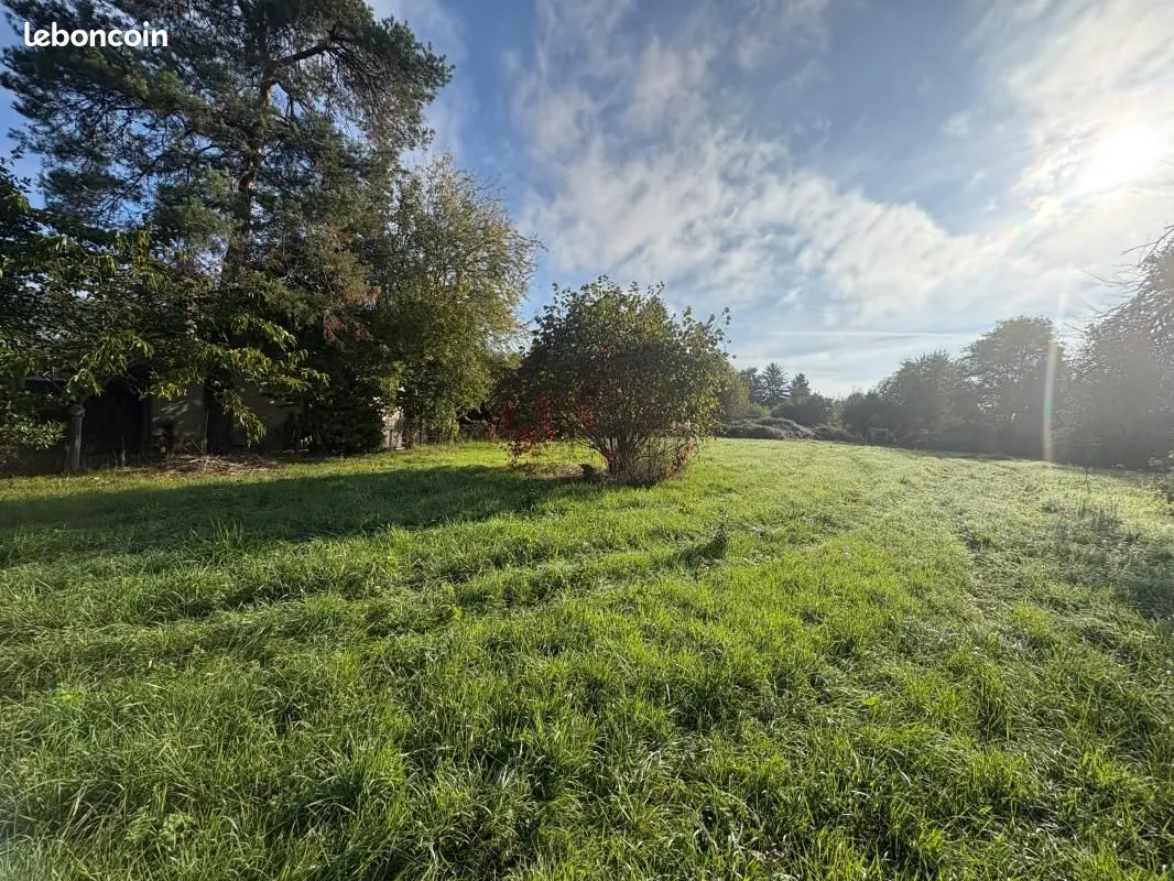 Terrain