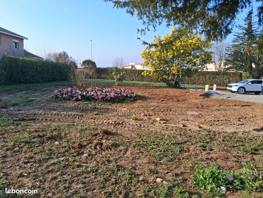 Terrain