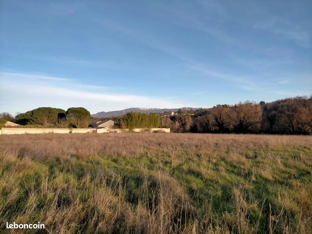 Terrain
