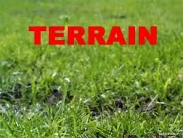 Terrain