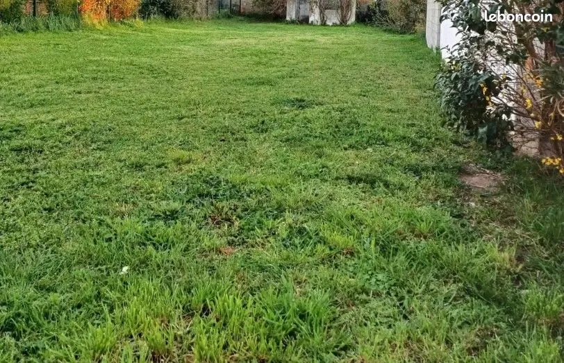 Terrain
