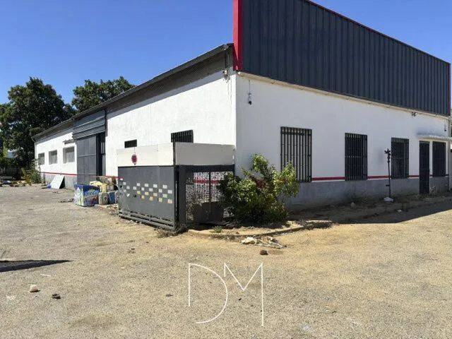 Local d'activité