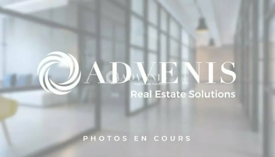 Local d'activité