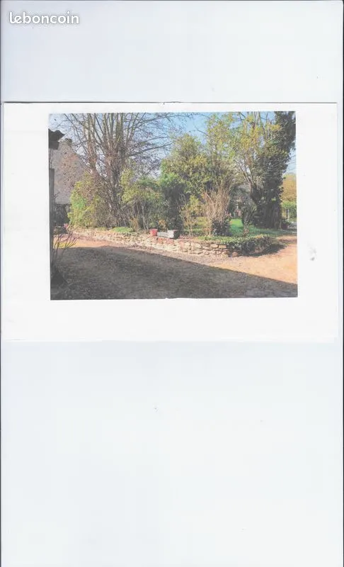 Terrain