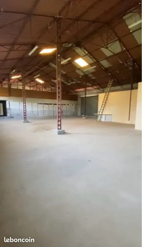 Local d'activité