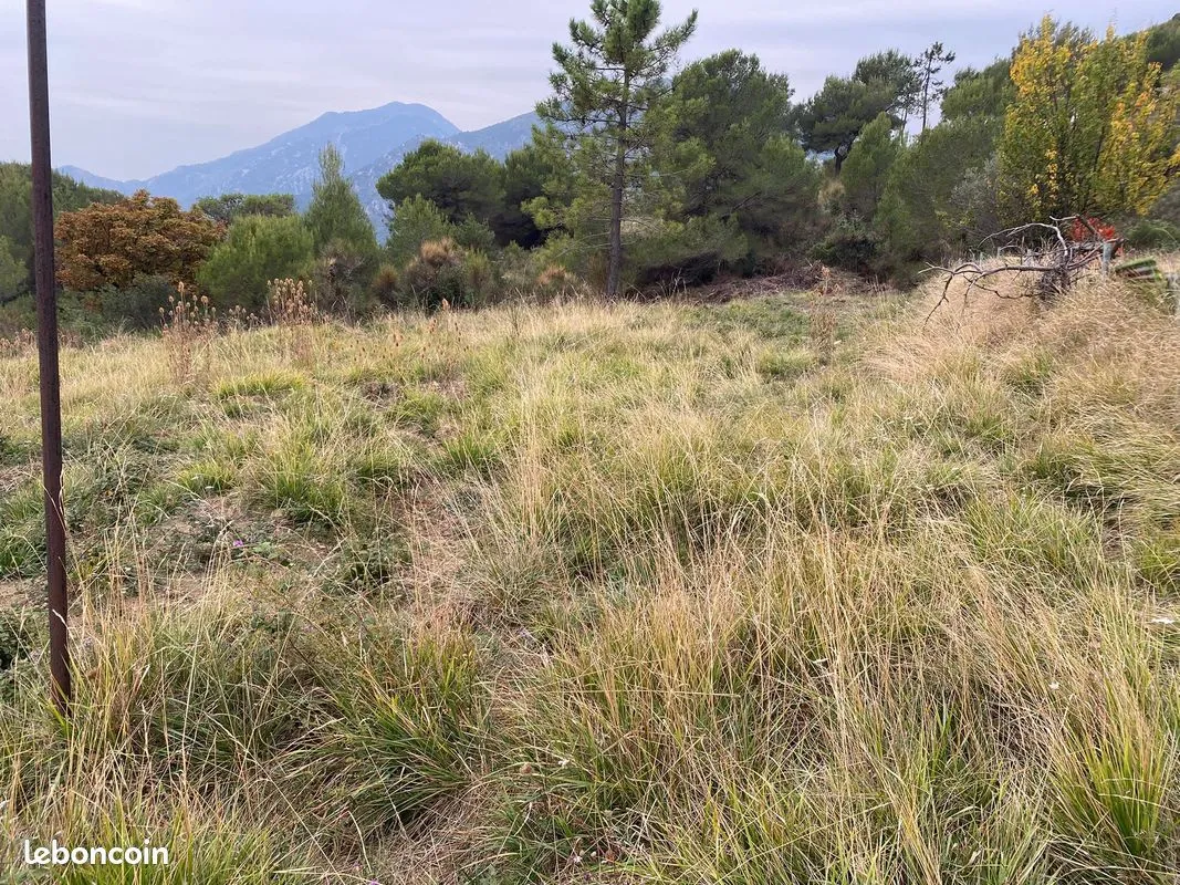 Terrain