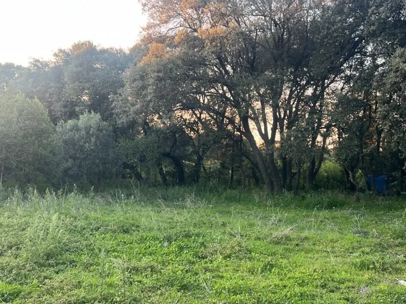 Terrain