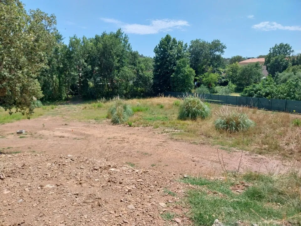 Terrain