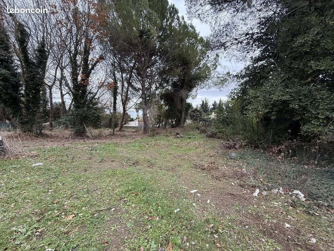 Terrain