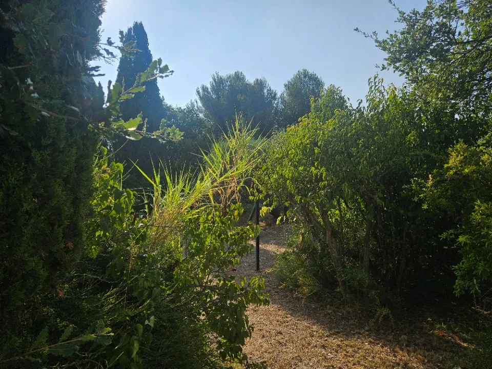 Terrain