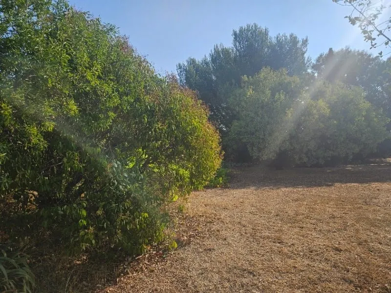 Terrain