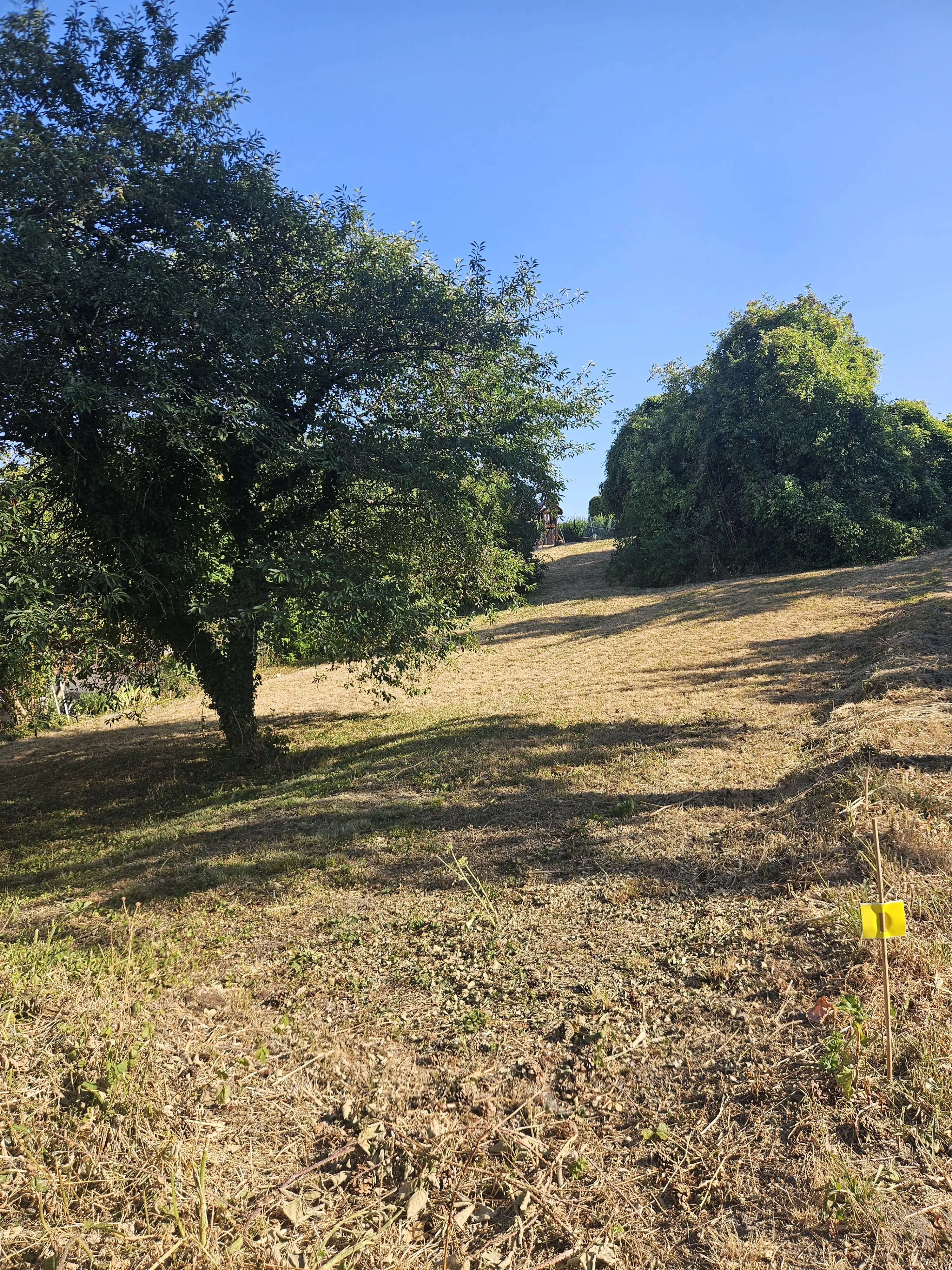 Terrain