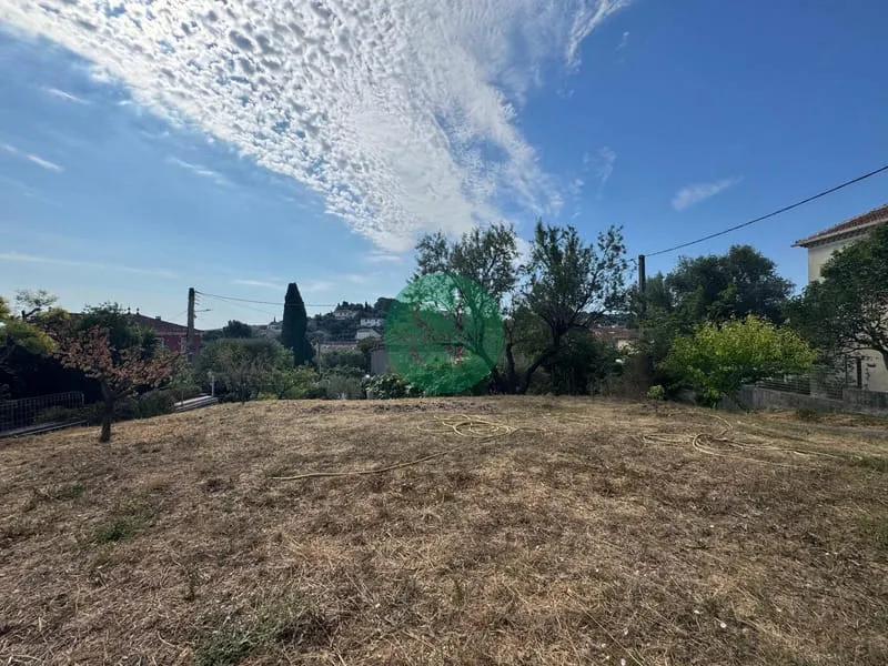 Terrain