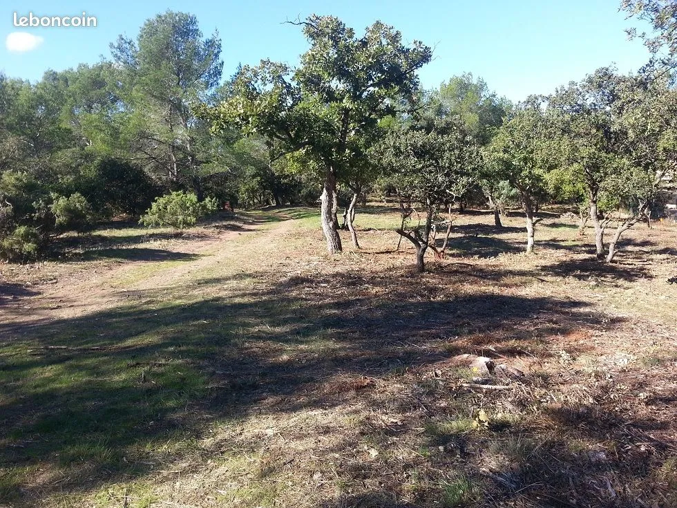 Terrain