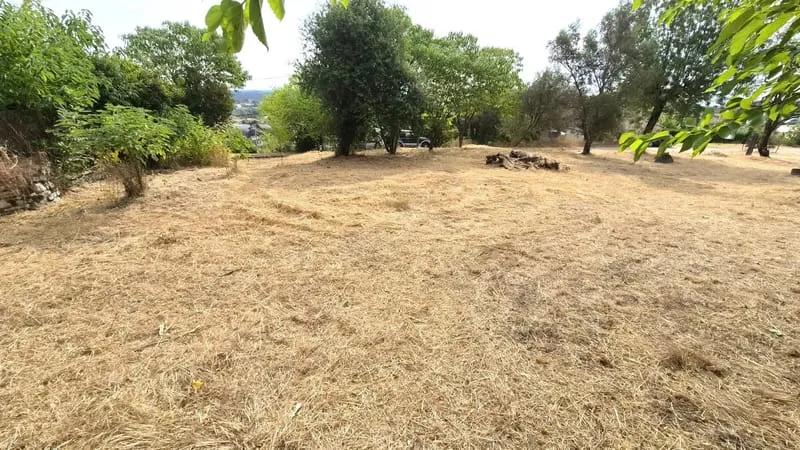 Terrain