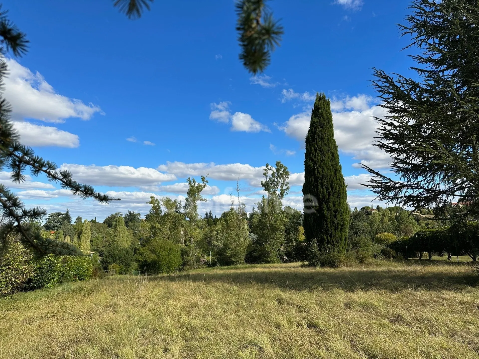 Terrain