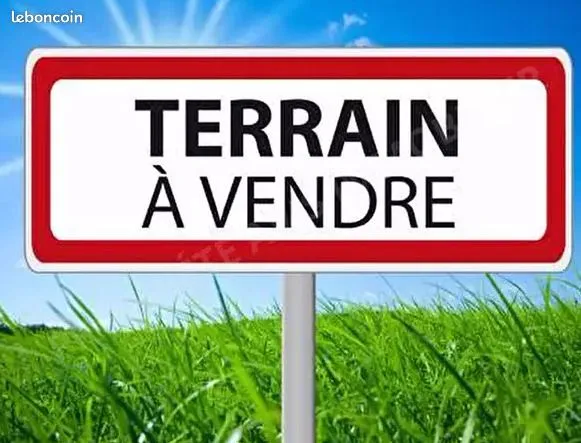 Terrain