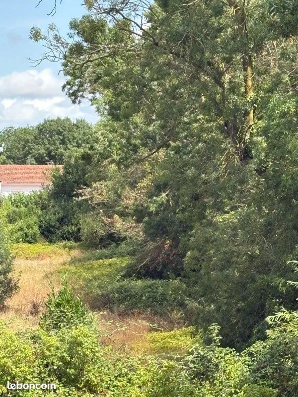 Terrain
