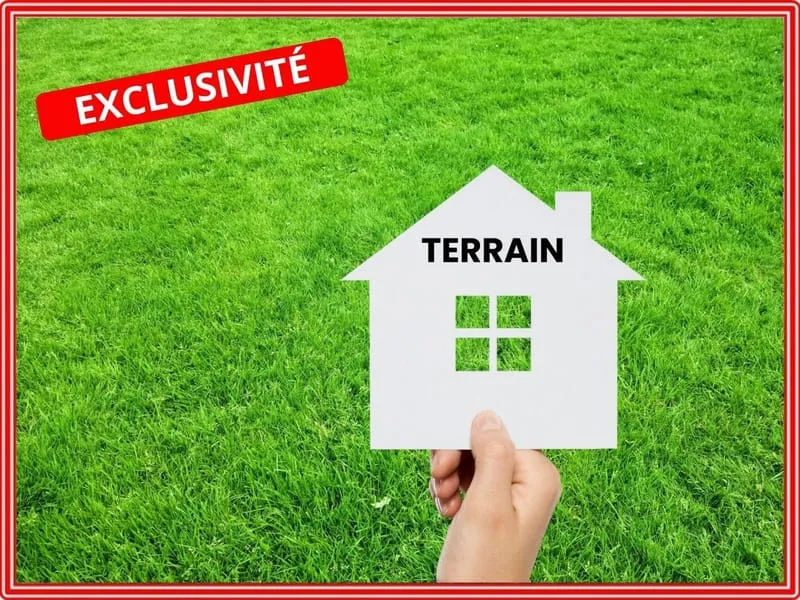 Terrain