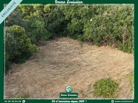Terrain