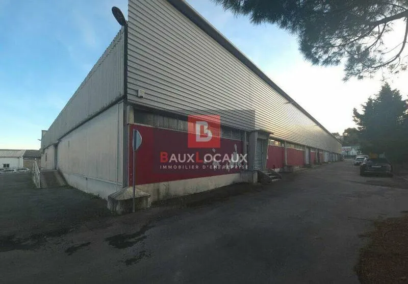 Local d'activité