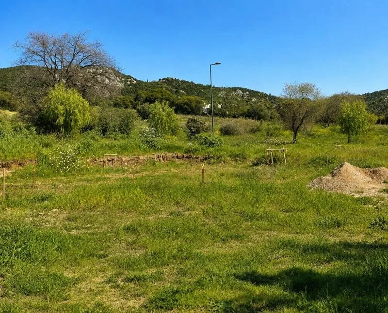 Terrain
