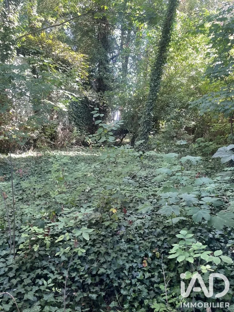 Terrain