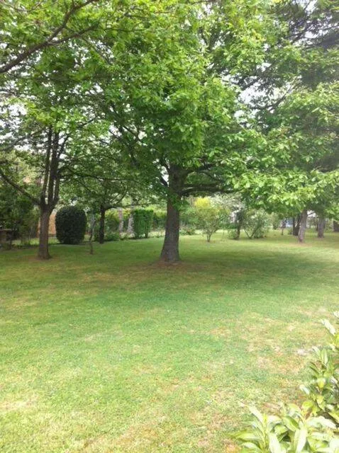 Terrain