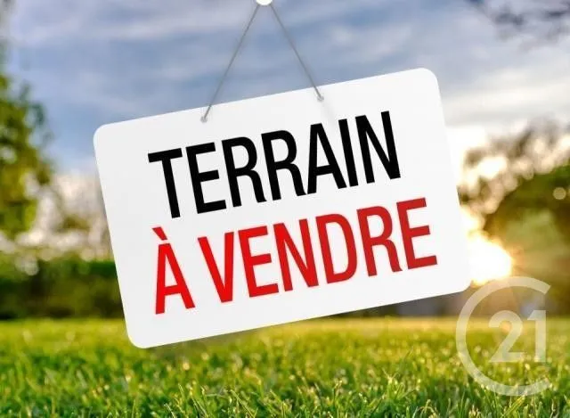 Terrain