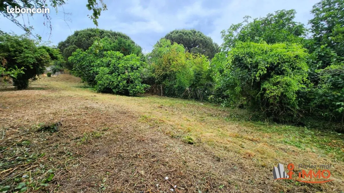 Terrain