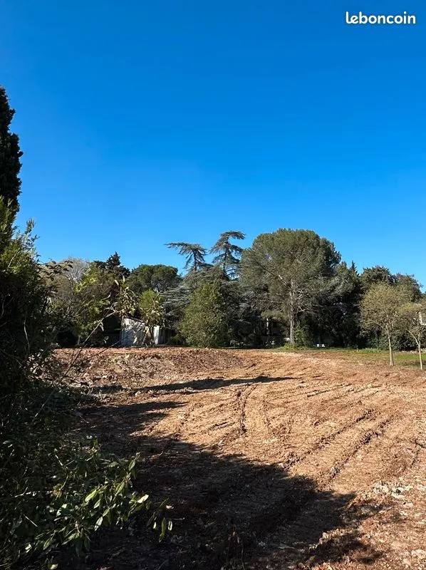 Terrain