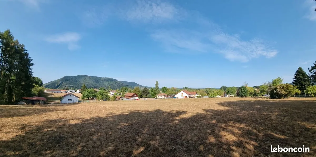 Terrain