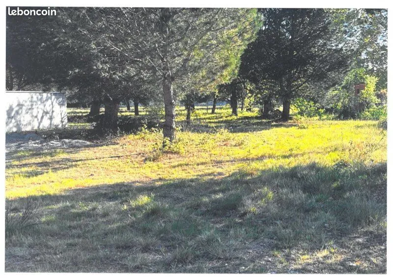 Terrain