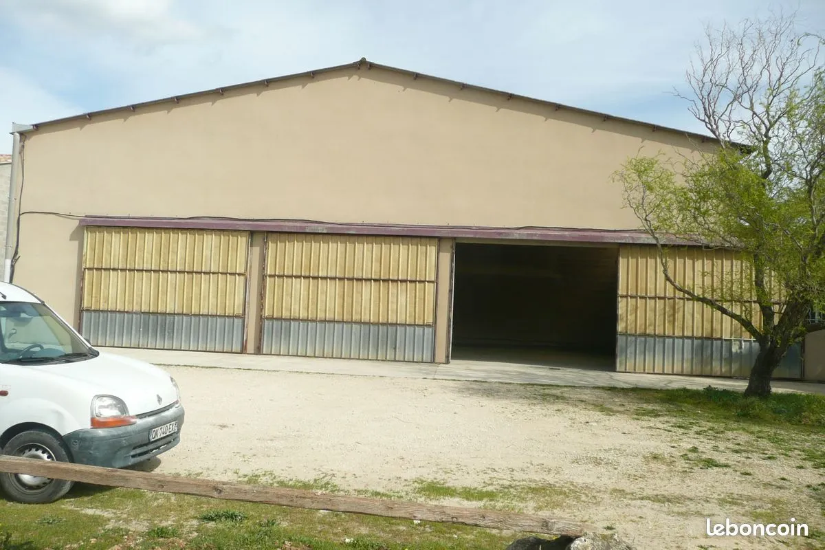 Local d'activité