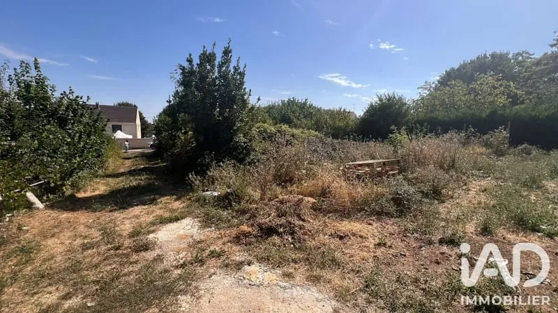 Terrain