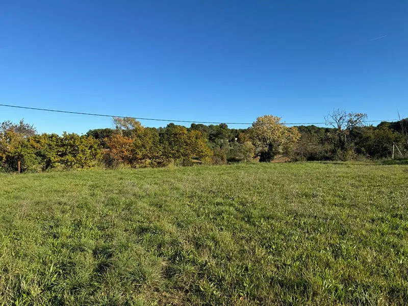 Terrain