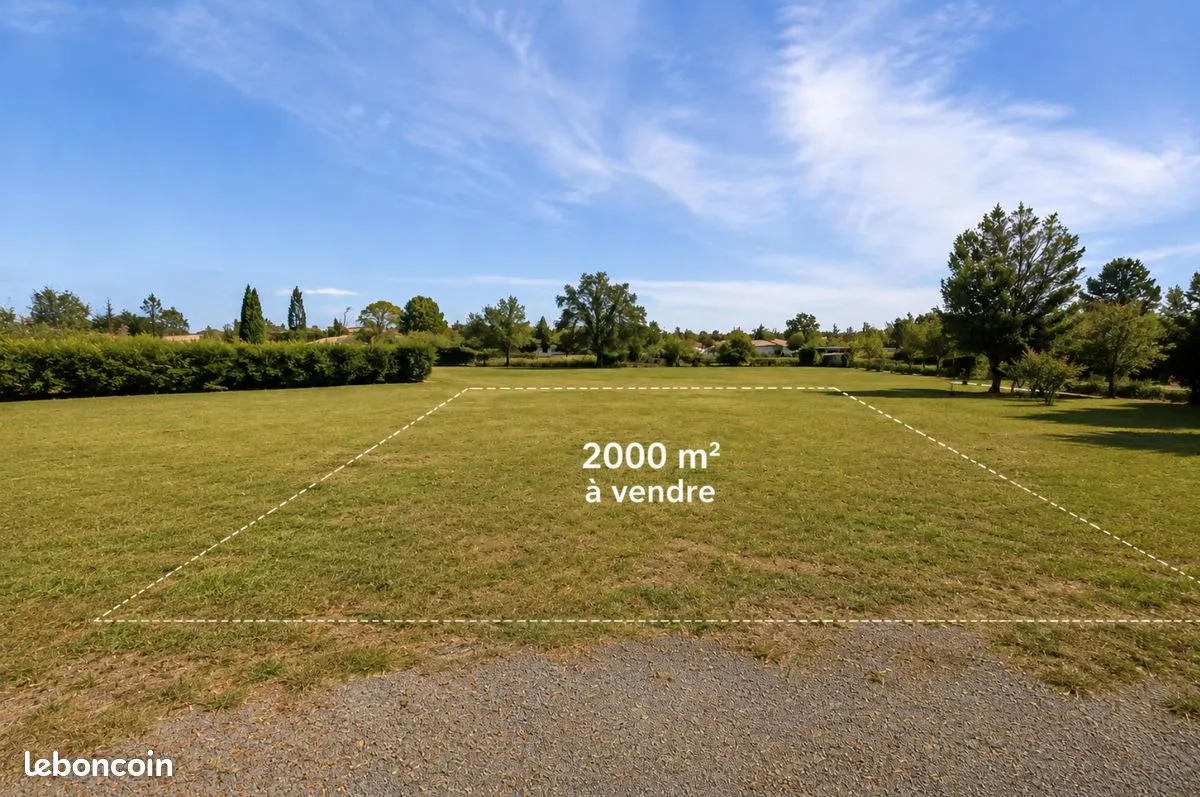 Terrain