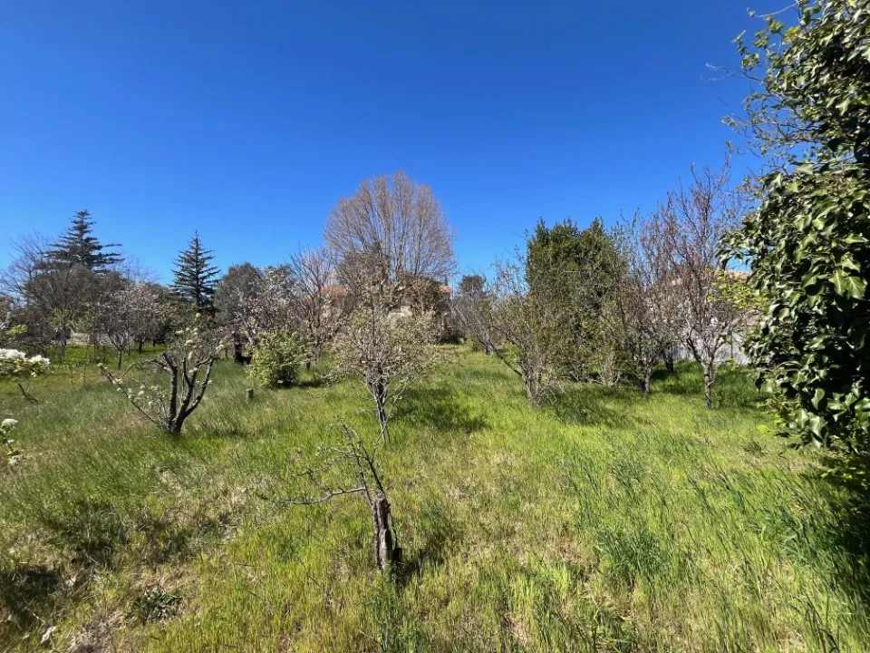 Terrain