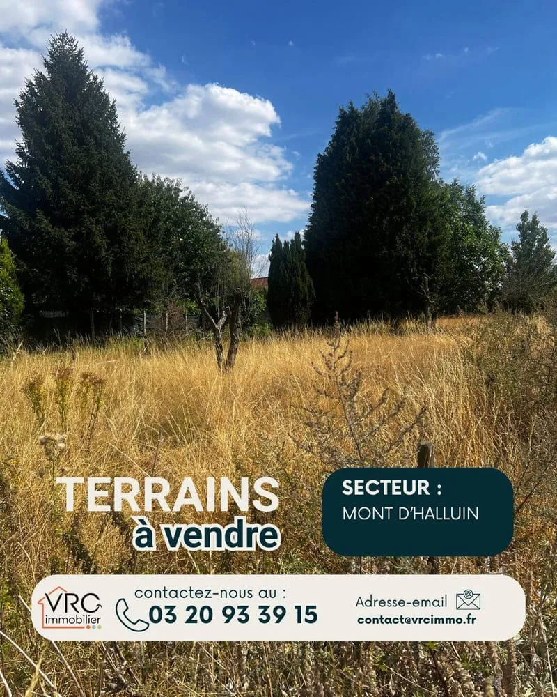 Terrain