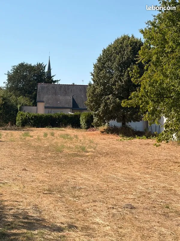 Terrain