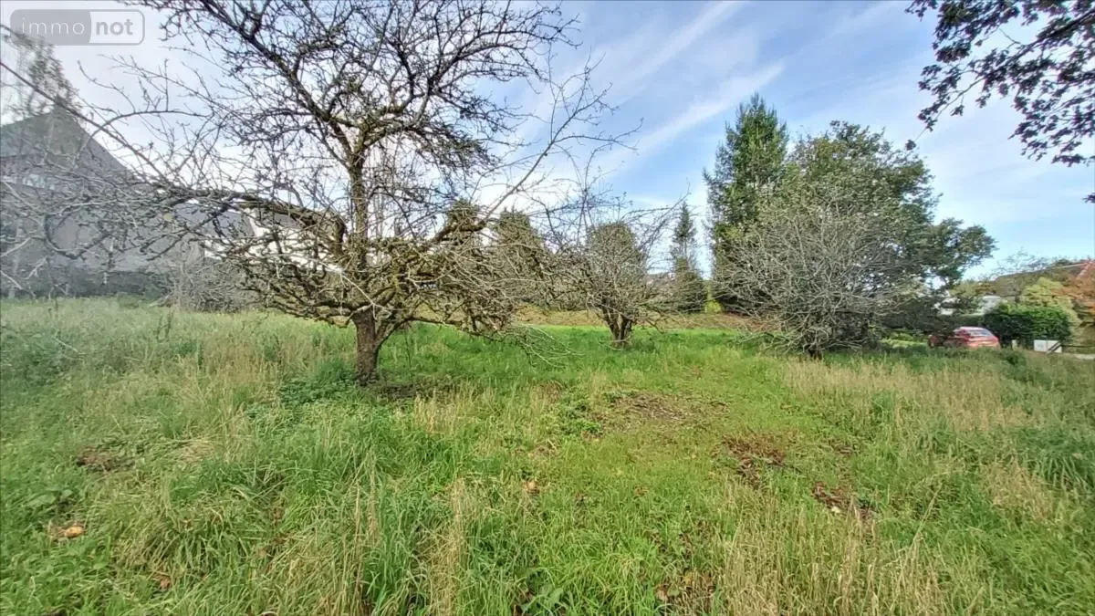 Terrain