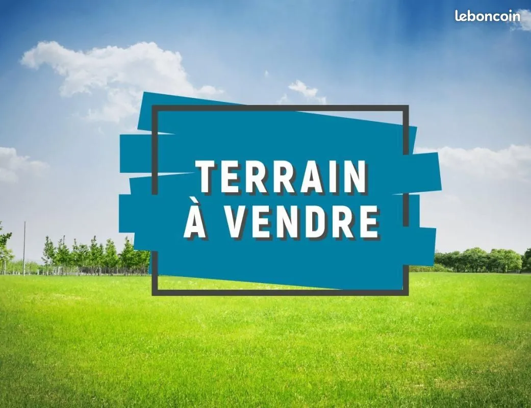 Terrain