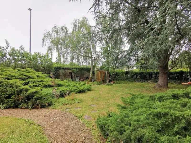 Terrain