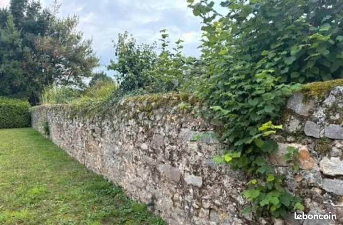 Terrain