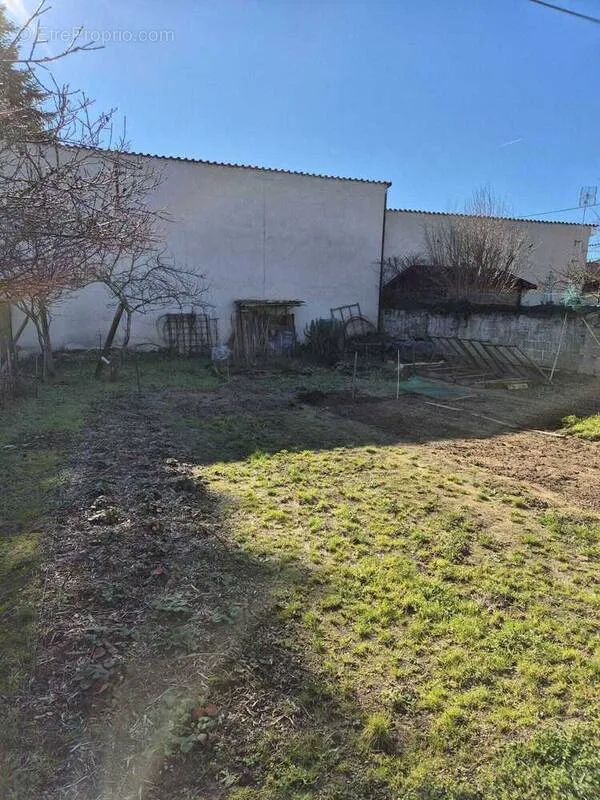 Terrain