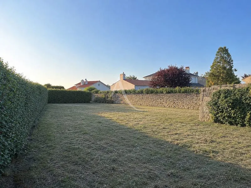 Terrain
