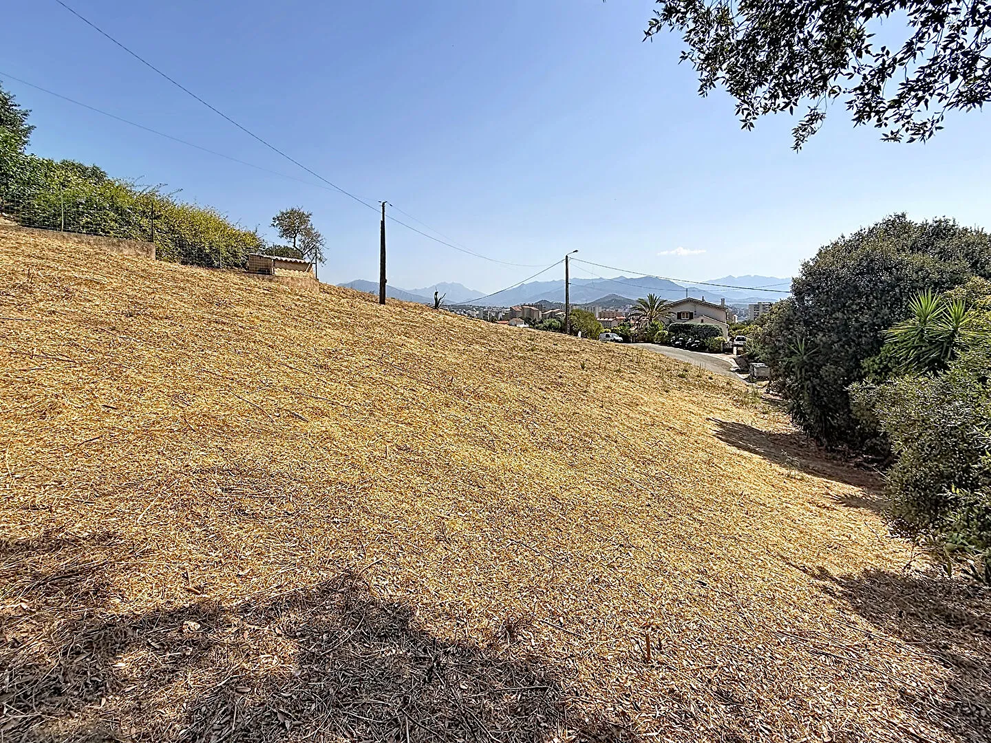Terrain
