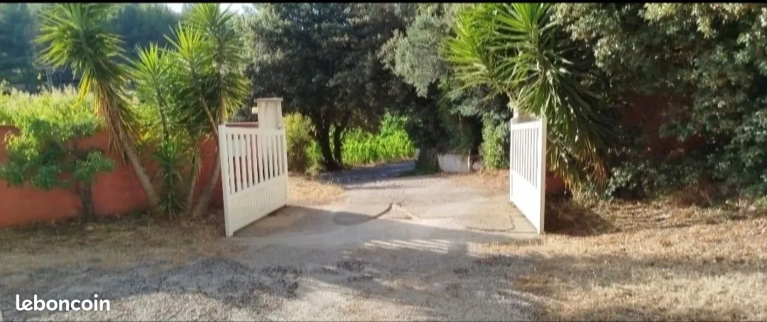 Terrain