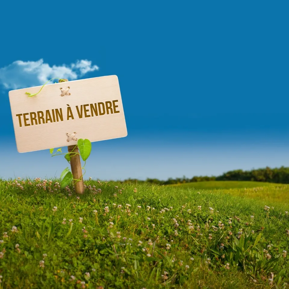 Terrain